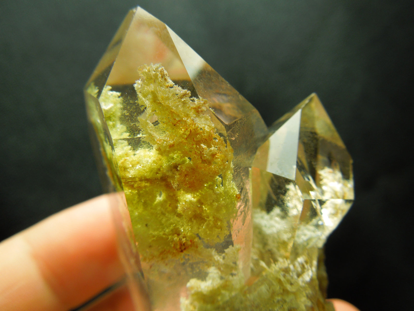 Chlorite Quartz Cluster w/ internal pyrite cube