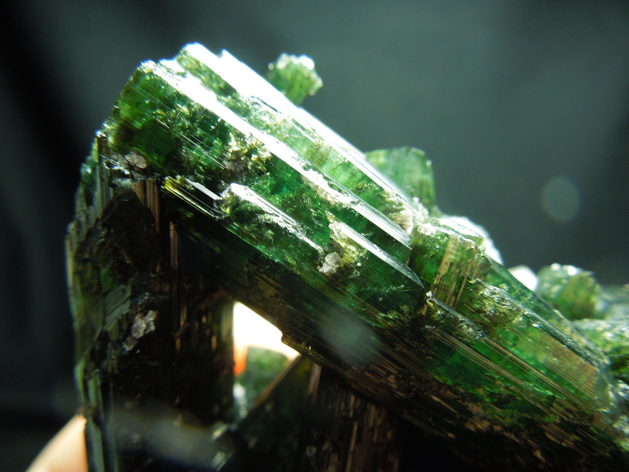 Buy sales green tourmaline