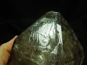 Smoky Elestial Quartz Enhydro, 3.1 lbs.