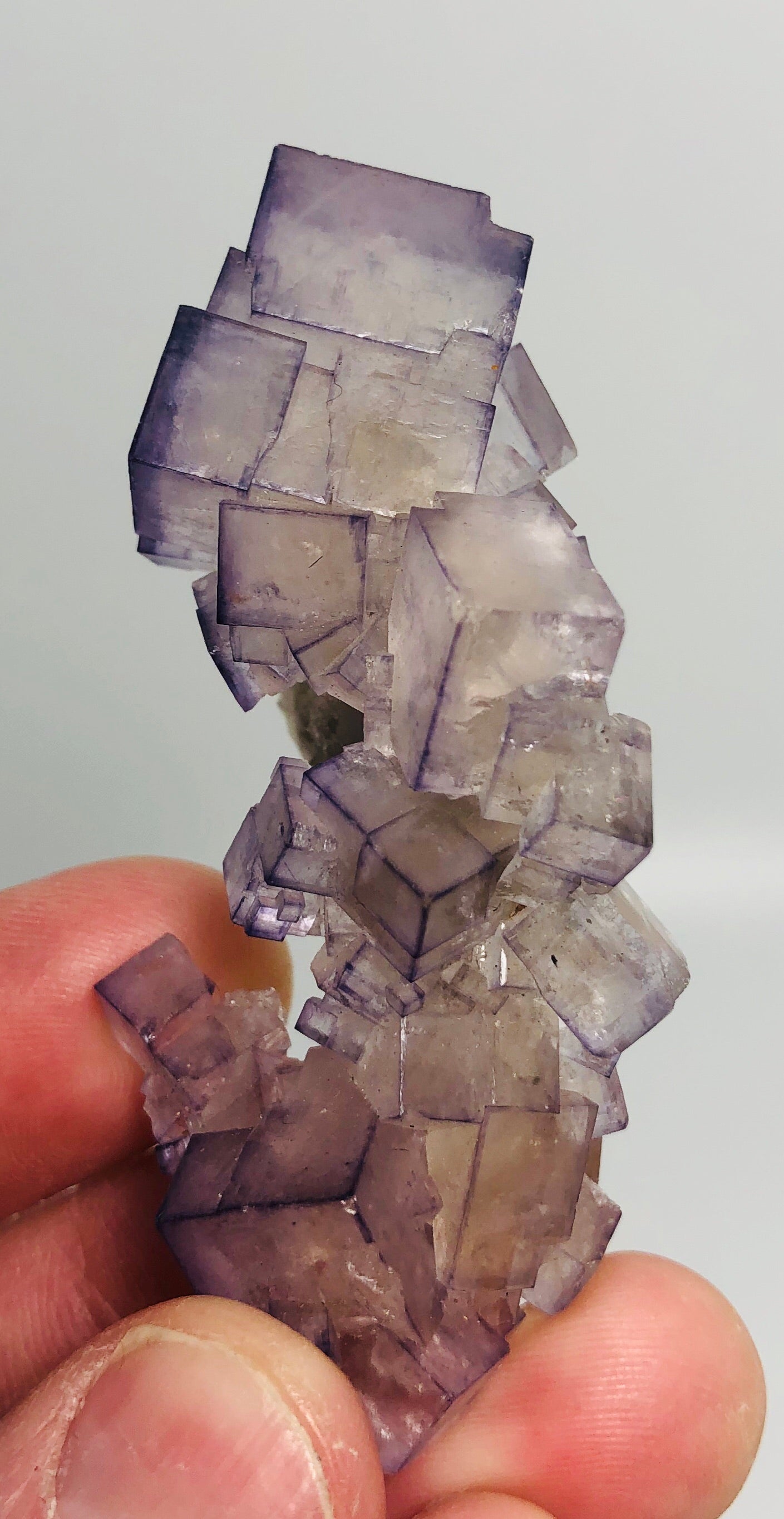 Fluorite, Tauorirt Mine, Morocco