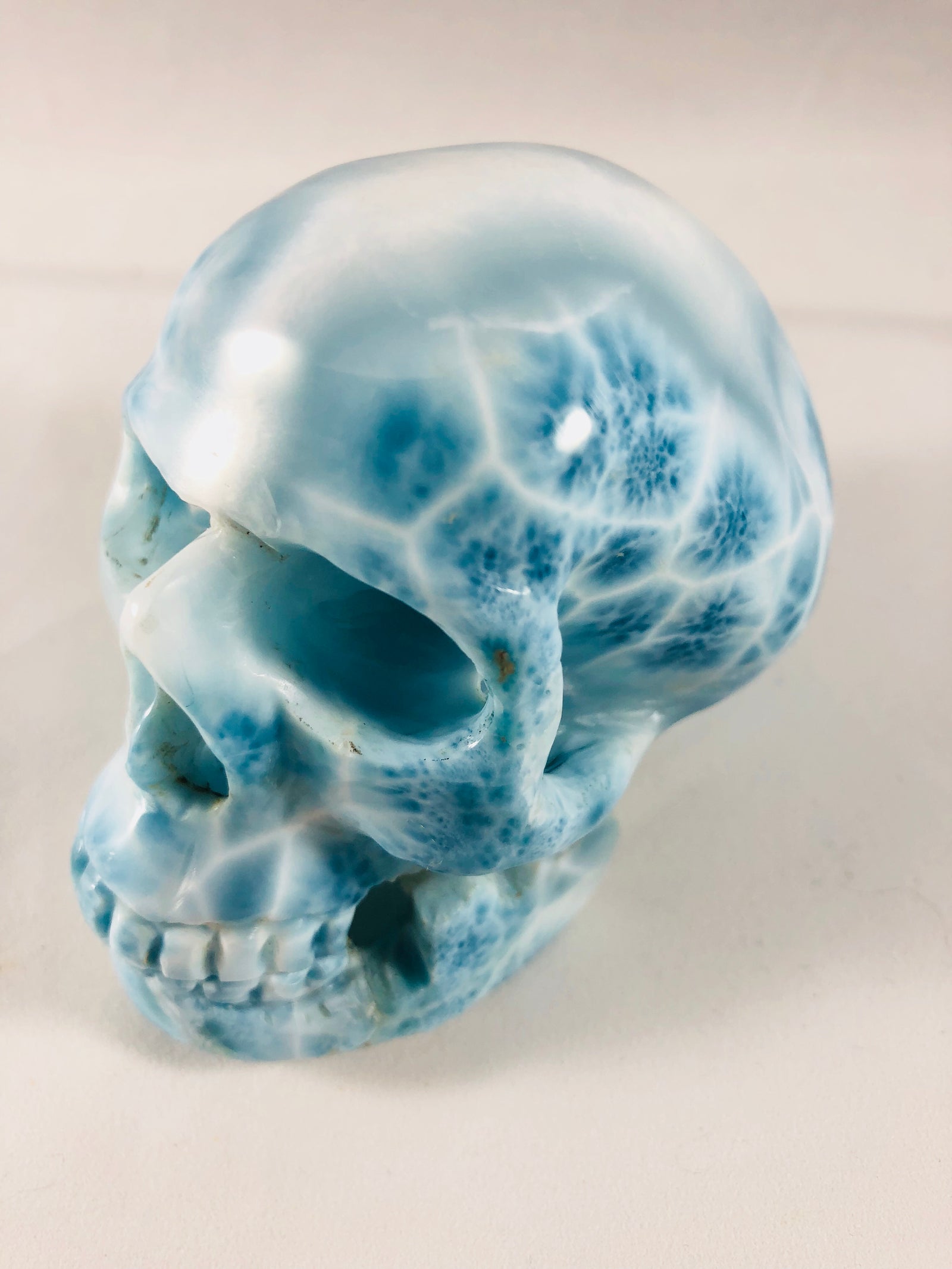 Larimar Skull