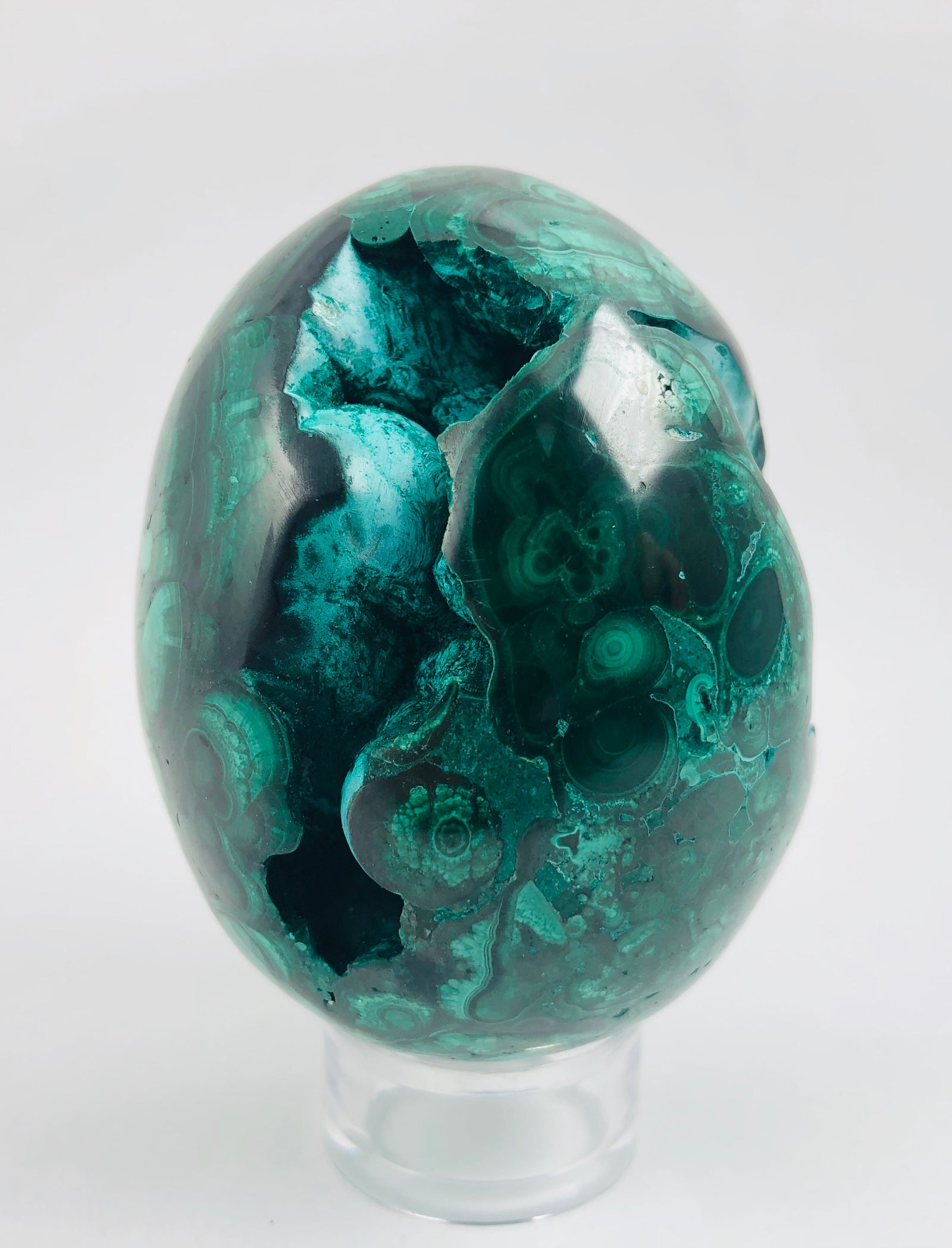 Malachite Egg with Chrysocolla