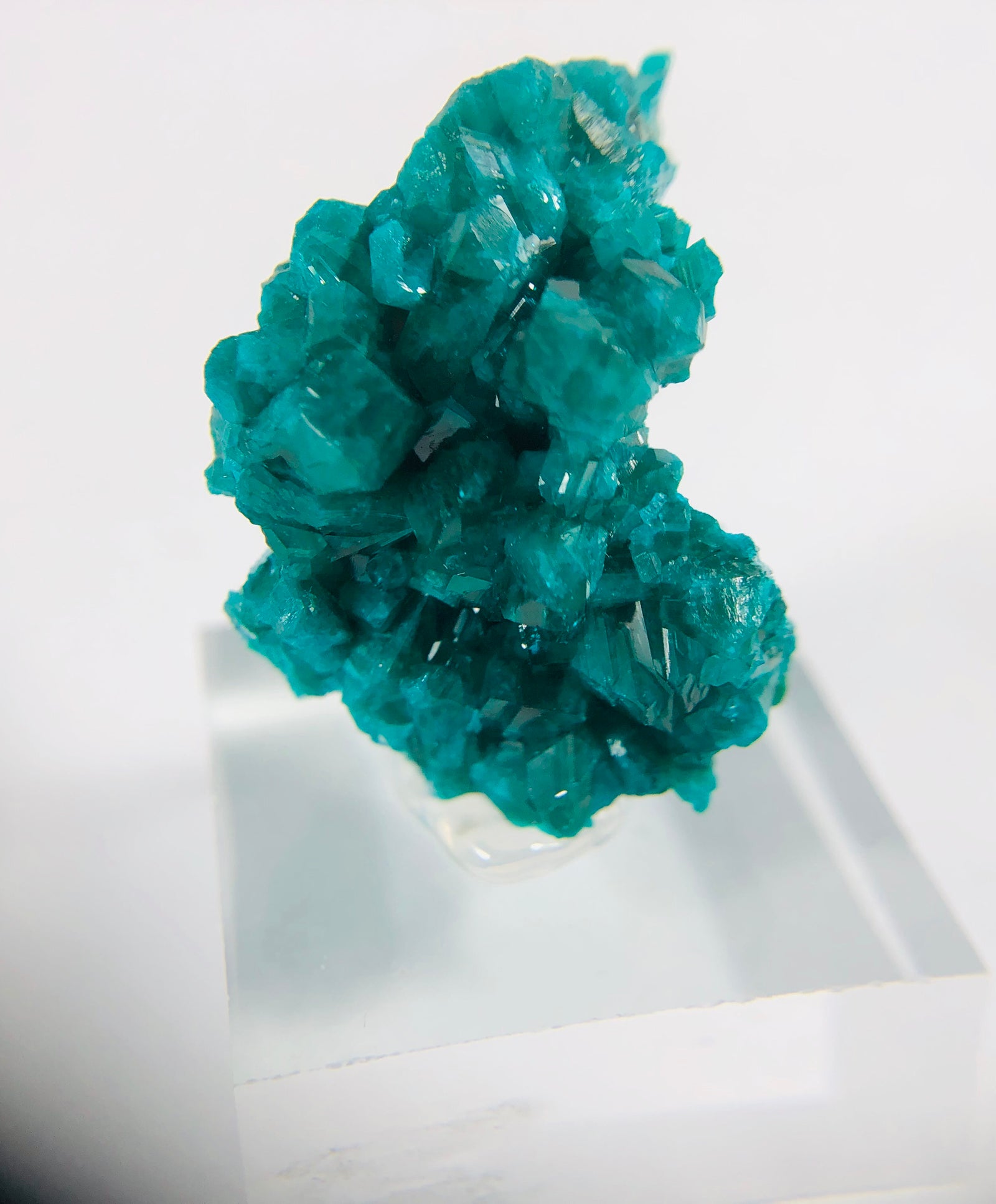 Dioptase Specimen, DRC