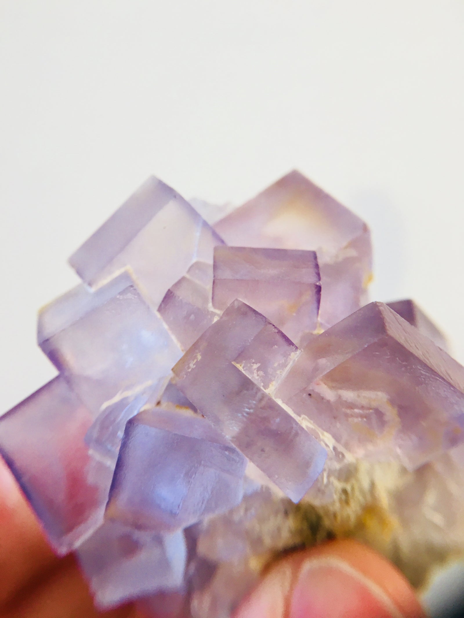 Fluorite, Tauorirt Mine, Morocco