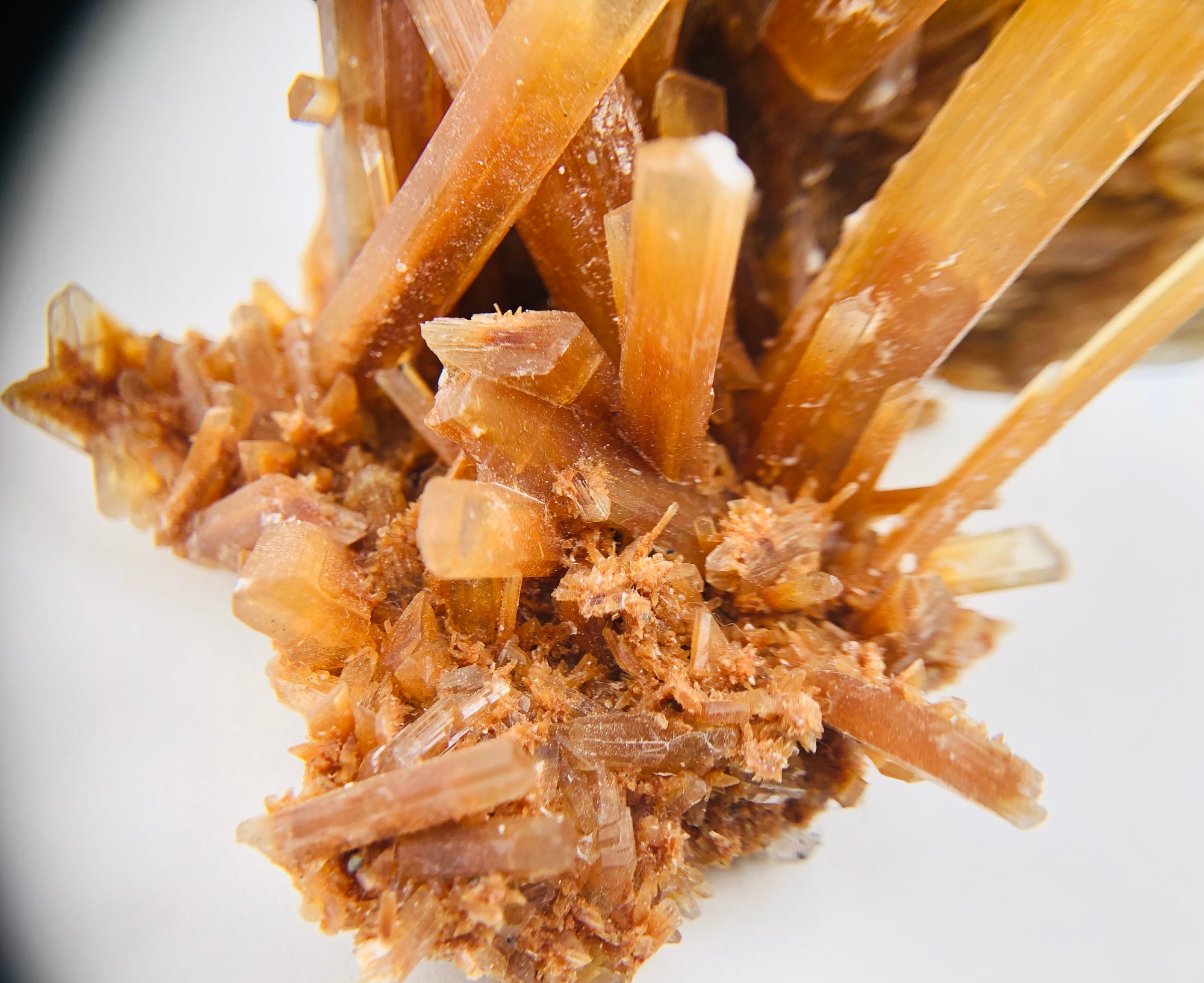 Orange Selenite, Mexico